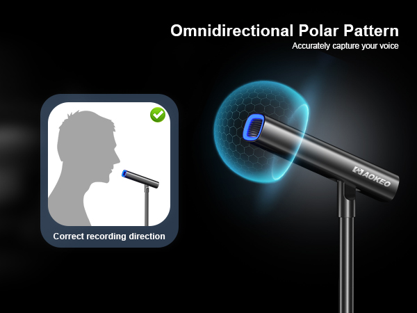 recording microphone