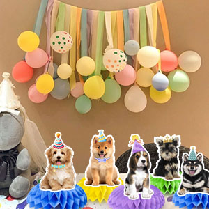dog birthday party decorations
