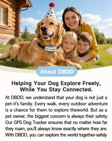 dbdd tracker