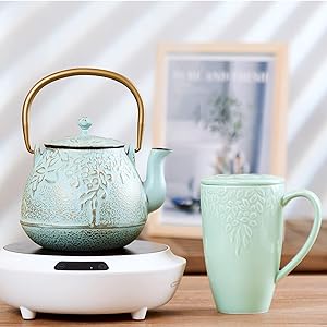 cast iron teapot tea kettle for stovetop stove top japanese tea pot