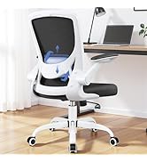 BESTFAIR Ergonomic Office Chair, Mesh Computer Chairs with Lumbar Support, Swivel Desk Chair with...