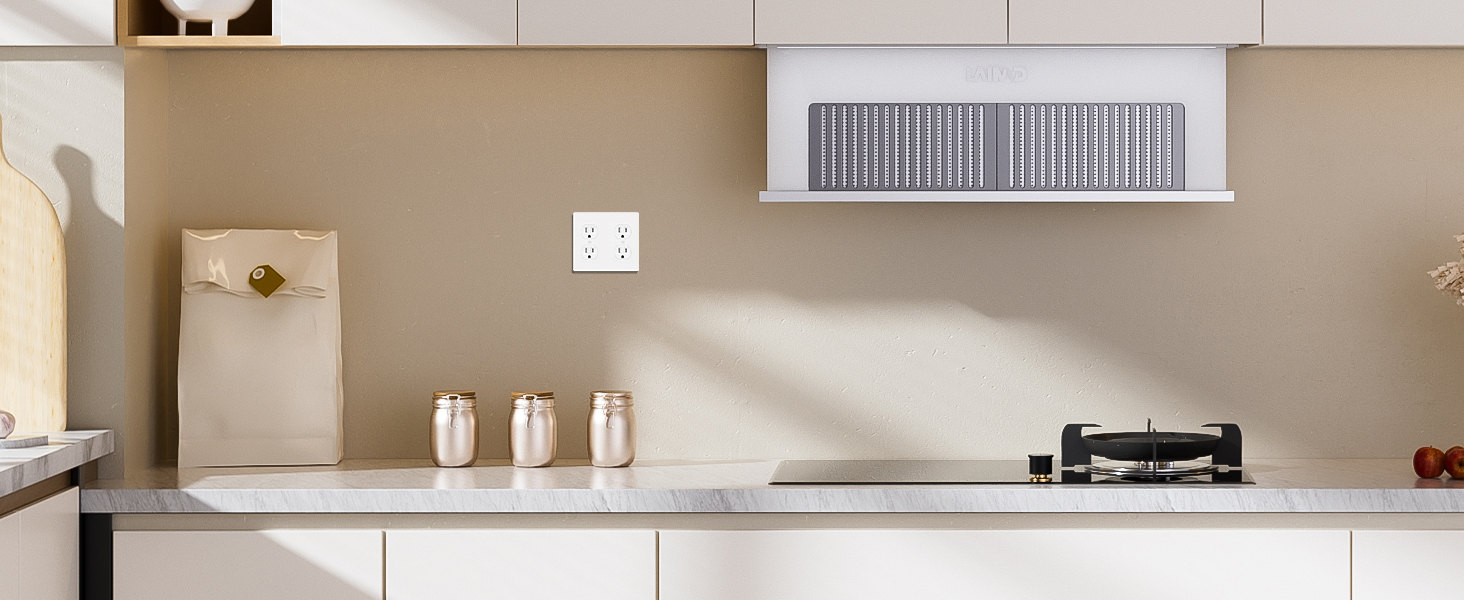 2 gang old work outlet box