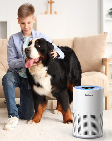 air purifiers for home pets