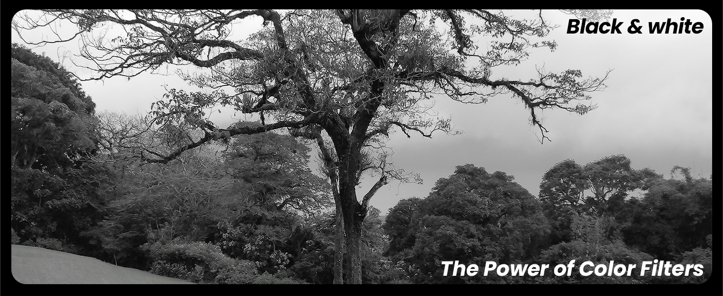 color range, vibrant colors, ISO 3200, 64 megapixel MP, Built-in wifi, hotshoe mount, sharp clear