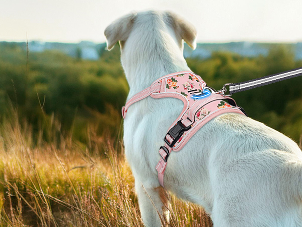 dog harness for large dog