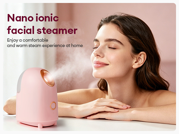 face steamer
