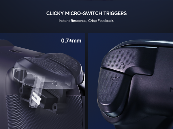 switch 2 pro controller
