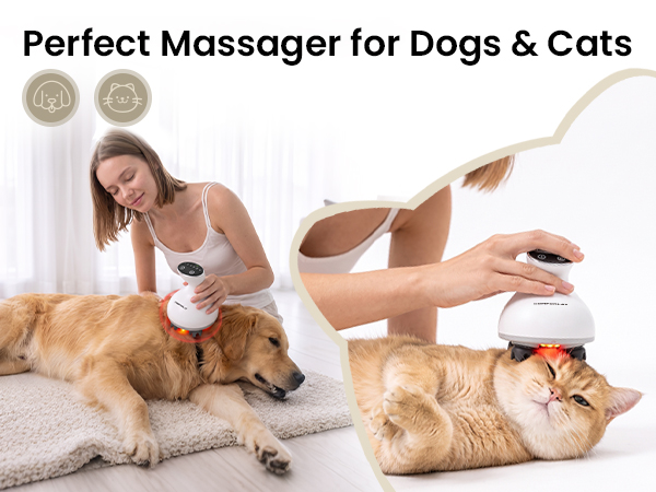 PERFECT MASSAGER FOR PET