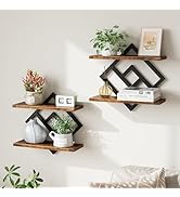 ELYKEN Floating Shelves for Wall, Set of 2 Hanging Shelves, 2-Tier Wall Mounted Storage Shelves f...