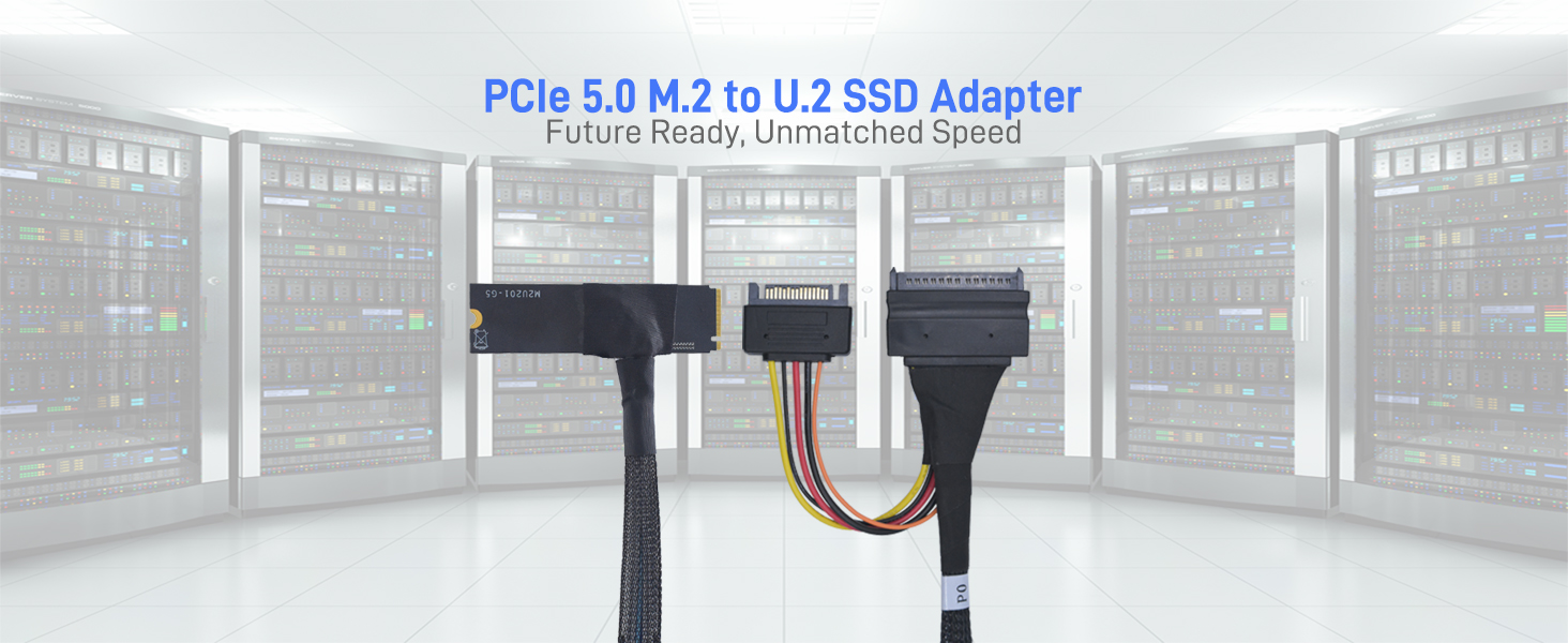LetLinkSo Gen5 PCIe 5.0 U.2 to M.2 Adapter Card SFF-8639 to M2 NVMe SSD Cable
