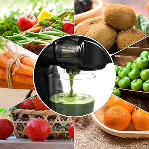 cold pressed juicer