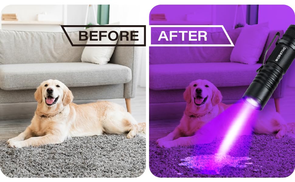 Before and after images of a room with a couch and dog. Left shows normal lighting, right shows purple UV light from a handheld device illuminating the scene.