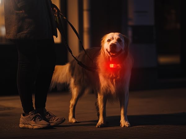 backpack flashlights