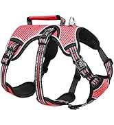 HEELE Dog Harness, Escape Proof Dog Harness, Release on Neck, No Pull Reflective Adjustable Vest ...