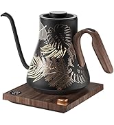 INTASTING Electric Kettle, Gooseneck Electric Kettle, ±1? Precise Temperature Control, Stainless ...