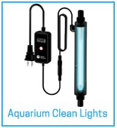 aquarium green clean light