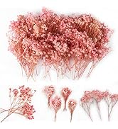 65Pcs Mini Pink Dried Baby's Breath Flowers, 4000+ Natural Natural Dry Gypsophila Flowers Bulk fo...