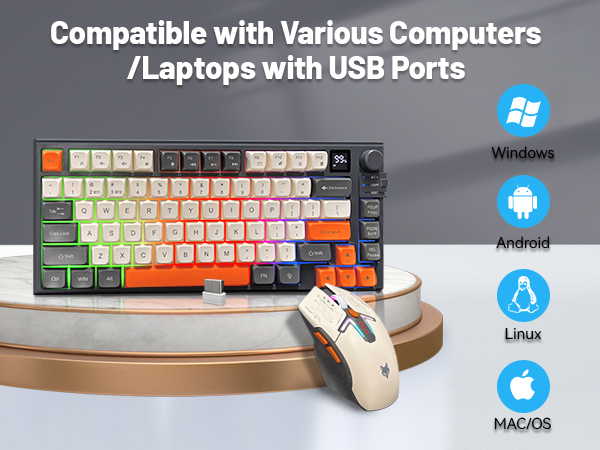Compatible with Various Computers /Laptops with USB Ports