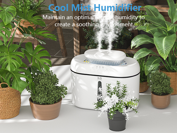 plant humidifier