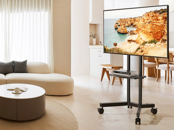 MOBILE TV STAND