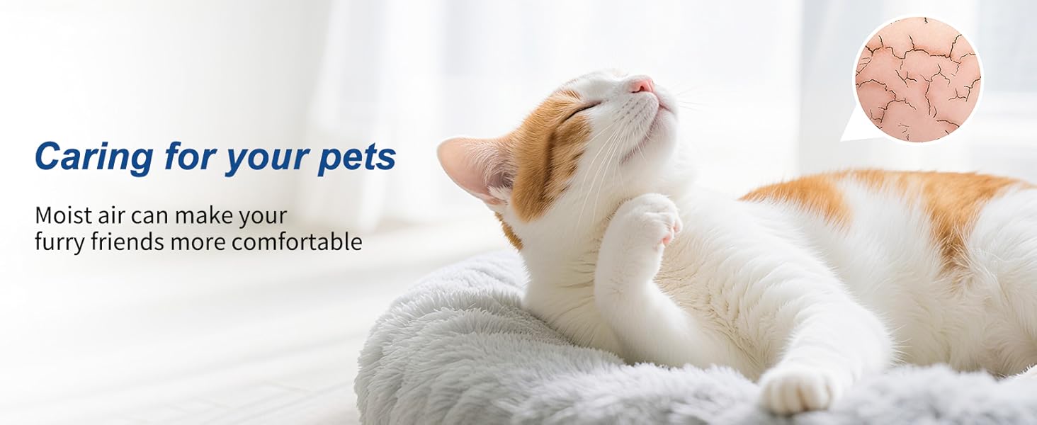 Easy to clean humidifier