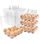 Jibrelxion 100 Pack 3x4 Plastic Egg Cartons Bulk 12 Count Clear, Reusable Stackable Dozen Chicken...