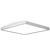 LED Flush Mount Ceiling Light Fixture, 5000K Daylight White, 12inch 24W, 3200LM, Slim Flat Panel ...