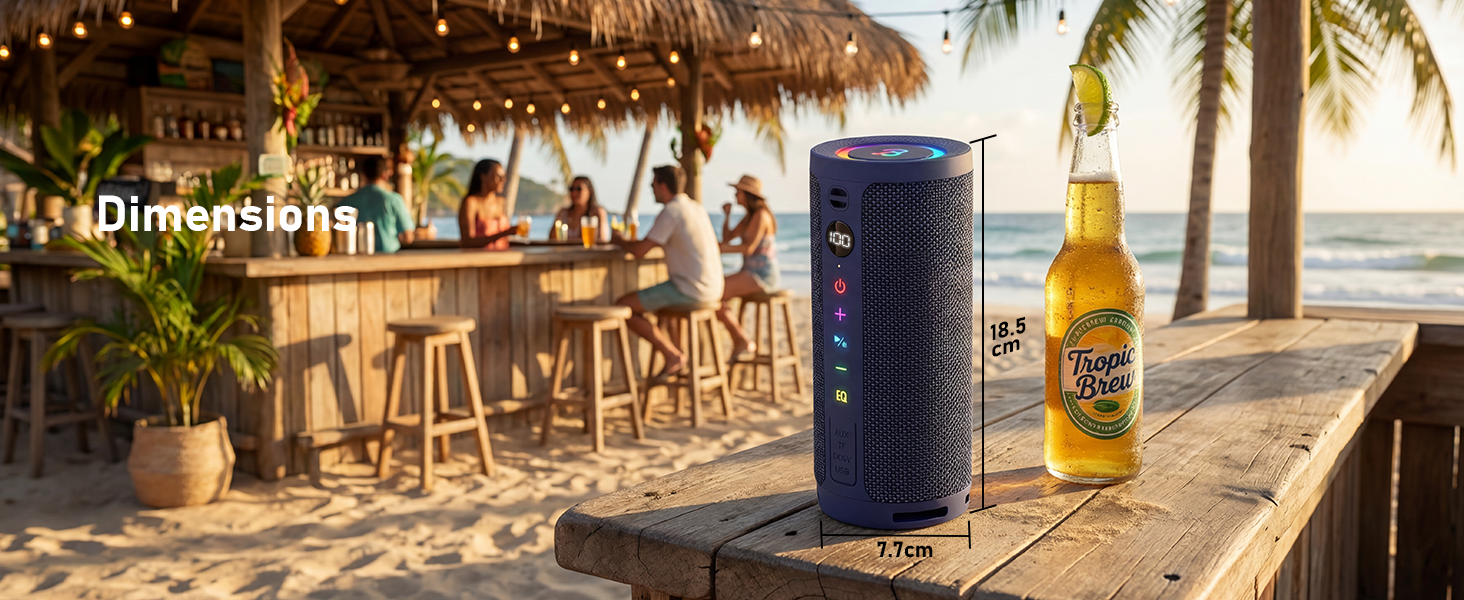 bluetooth speaker with aux input