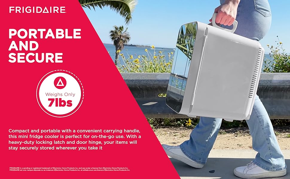 mini fridge cooler