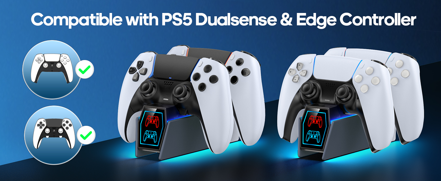 PS5 Controller Charger