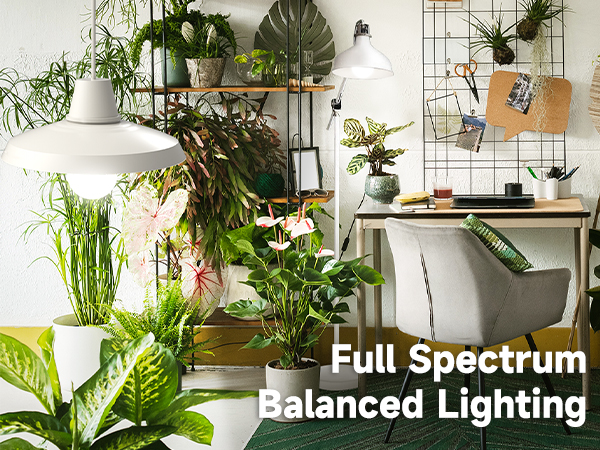 plant light bulbs 4000K