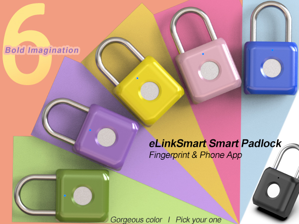 Fingerprint Padlock Gorgeous color