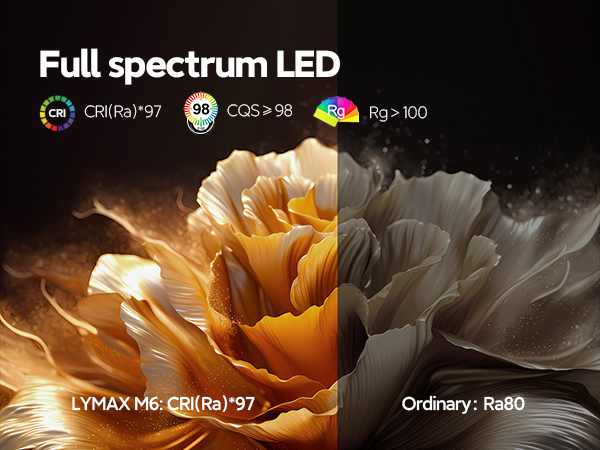 LYMAX monitor light M6