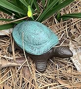 Turtle Key Hider