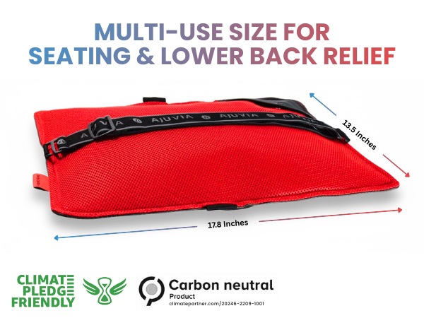 AJUVIA Back Vitalizer Lumbar Support Pillow