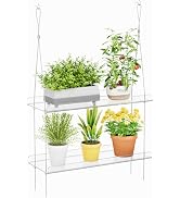 Lifewit 2-Tier Window Plant Shelves 15", Acrylic Adjustable Hanging Floating Shelf, Window Sill E...