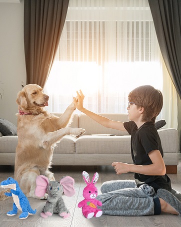 https://m.media-amazon.com/images/S/aplus-media-library-service-media/64b84c2b-8613-4f30-8b8b-cd87f6061bd4.__CR0,0,362,453_PT0_SX362_V1___.jpg