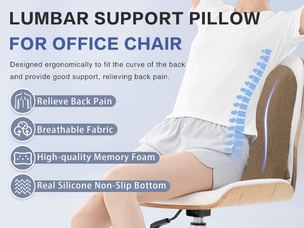 back support pillow