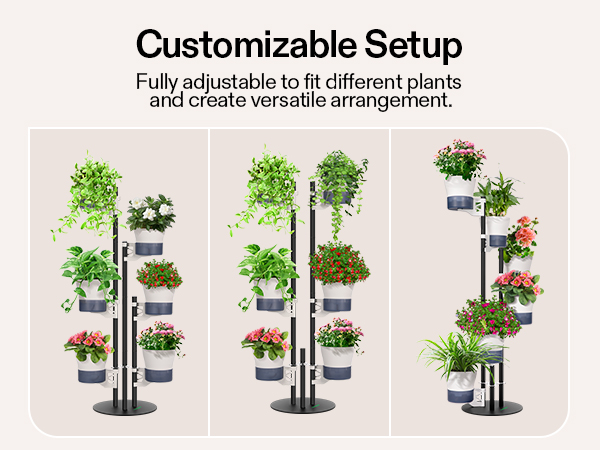 Customizable Setup