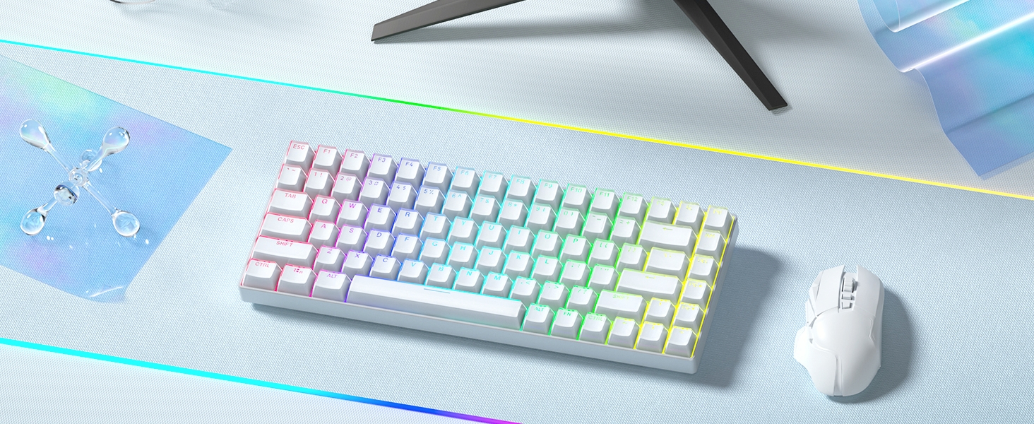 Shine Through PBT Keycaps, Custom Keycaps 60 75 100 Percent OEM Profile
