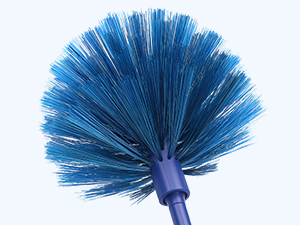 Cobweb Duster