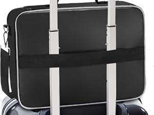 fireproof document bag