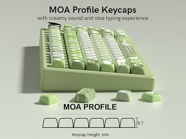 moa profile keycaps