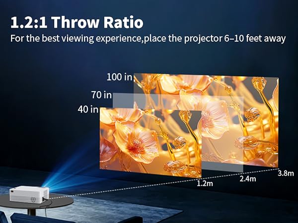 projector
