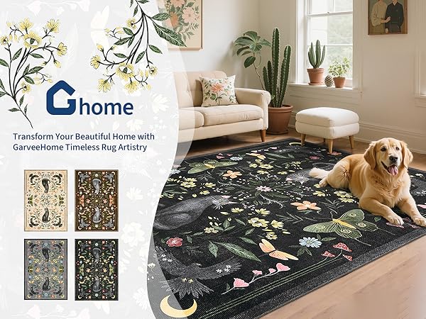 Living Room Area Rug