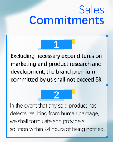 Sales Commitments
