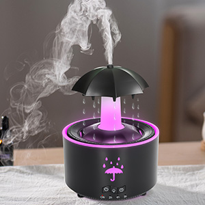 Umbrella Humidifier