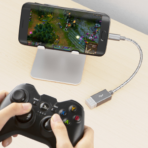 playing games by connecting a game controller such as PS4