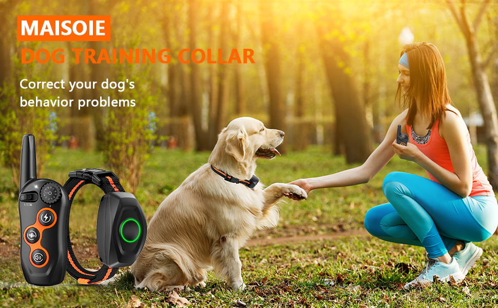 Dog Training Collar