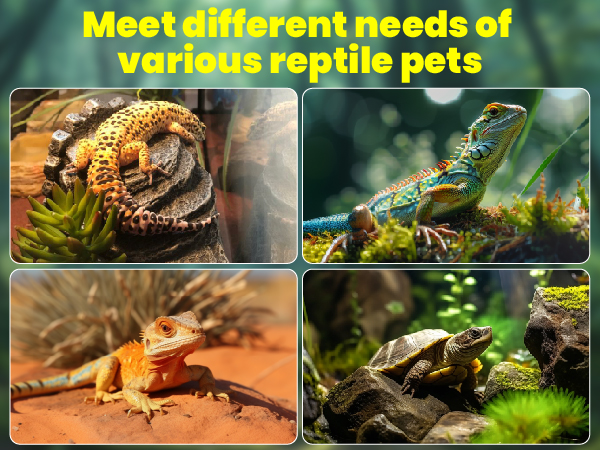 uvb light for reptiles